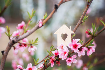 Closeup wooden house with hole in form of heart surrounded by pink flowering branches of spring peach trees.