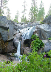 Fototapeta na wymiar Long exposure waterfall in the wilderness of a California forest.