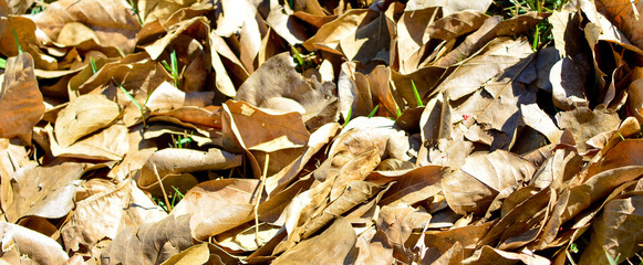 Residential building