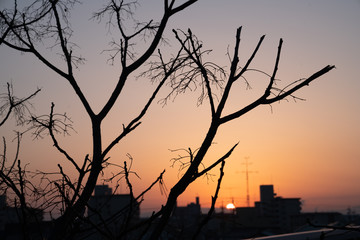 都市の夕焼け