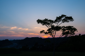 Fototapeta premium 大地と夕焼け