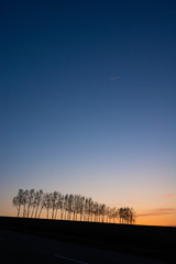 Fototapeta premium 美しい冬の夕焼空とシラカバ並木 美瑛町