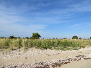Fototapeta na wymiar Grassy Dunes at Cedar Point County Park in East Hampton, Long Island, New York.