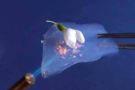 「Aerogel」の画像 253 件の Stock 写真、ベクターおよびビデオ Adobe Stock