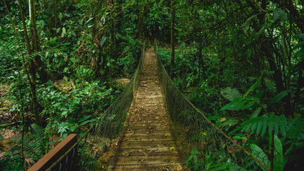 Beautiful wooden bridge in Panacam green forest Honduras