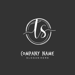 Handwritten initial letter T S TS for identity and logo. Vector logo template with handwriting and signature style.