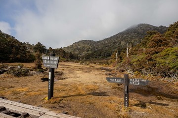 屋久島　花之江河