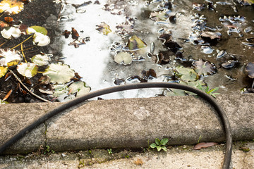 Rubber garden hose near the water