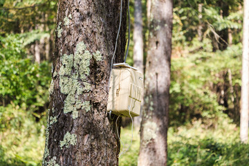 キャンプ場の電源サイトにある電源ボックス