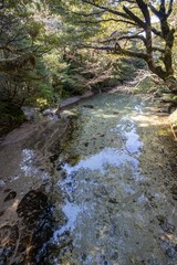 屋久島　淀川小屋付近