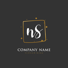Handwritten initial letter N S NS for identity and logo. Vector logo template with handwriting and signature style.