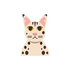Cute white with black points cat cartoon vector design