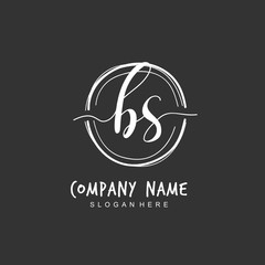 Handwritten initial letter B S BS for identity and logo. Vector logo template with handwriting and signature style.