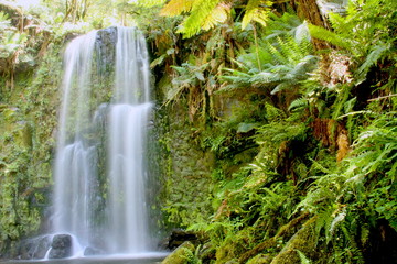 Beauchamp Falls in Great Otway National Park 