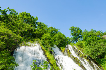 北海道　知床　オシンコシンの滝