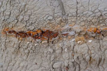 Theodore Roosevelt National Park