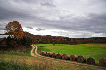 Farm road
