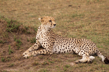 Property of Stephen Denver