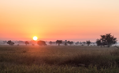 Obraz premium field and sunrise with mist background