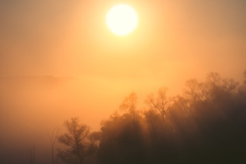 Fototapeta na wymiar Morning light, sunrise in the forest - morning nature