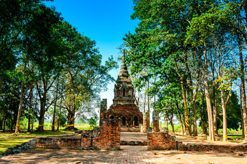 Teak tree with old pagoda in Pa Sak temple