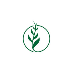 color circle leaf logo design