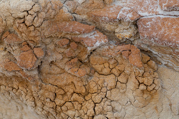 Theodore Roosevelt National Park