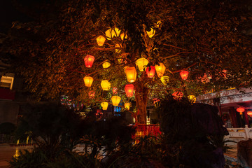 Chinese new year tree with colorful wishing lanterns hanging at night