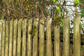 Holzzaun © Asray Laleike