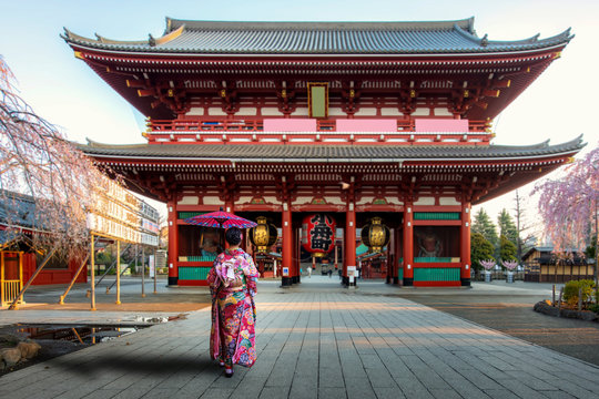 Young asian woman wearing Kimono Japanese tradition dressed sightseeing at Sensoji temple gate with cherry blossom tree during spring season in morning at Asakusa district in Tokyo, Japan.