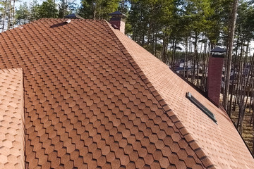 Bituminous tile for a roof. House with a roof from a bituminous