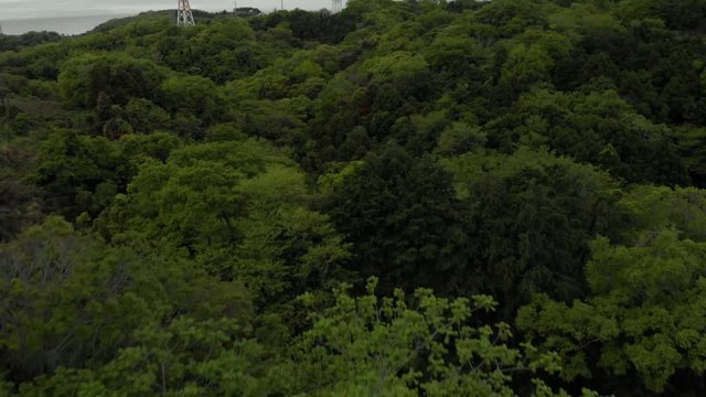 森の中の鉄塔