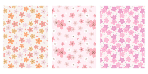 Japanese Cherry Blossom Flower Abstract Vector Background Collection