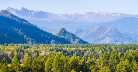 Panoramic view, mountain landscape. Summer greens, bright morning.