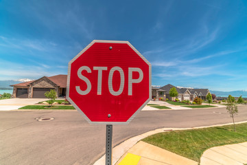 Selective focus of a red and white stop sign against paved road and houses