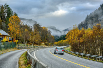 Obraz premium One car on a curved road in Voss, Norway on a foggy day. The autumn colors change in the morning