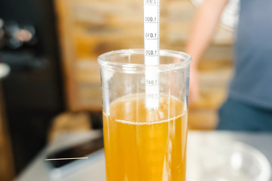Measurement of alcohol content in beer. Hydrometer in glass of b