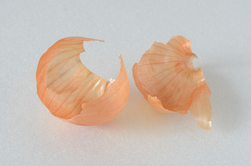 onion skin on white background