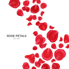 Red rose petals isolated on white background.Valentine day,wedding, mother day,March 8,international women day decoration,.Digital clip art.Warercolor illustration.