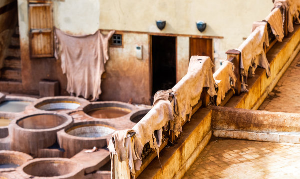 Leather dries in the sun after painting, tannery in the ancient Medina of Fes, Morocco.