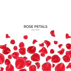 Red rose petals isolated on white background.Valentine day,wedding, mother day,March 8,international women day decoration,.Digital clip art.Warercolor illustration. - 314212479
