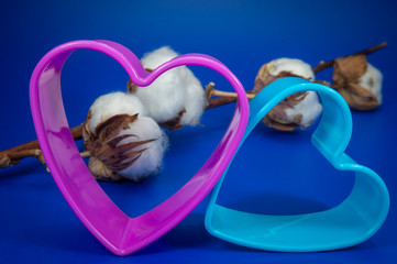 Obraz na płótnie Canvas Pink and blue plastic hearts with cotton bolls