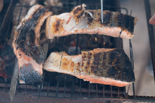 salmon grill