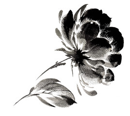 peony painted with a brushstroke effect . black & white © stdtex88