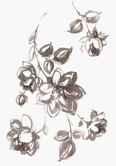 Illustration drawing of watercolor flower peony on isolated background. gray and white colors.