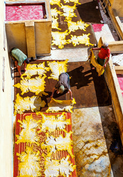 Leather dries in the sun after painting, tannery in the ancient Medina of Fes, Morocco. Top view. Vertical.