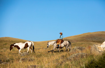ranching in mountains