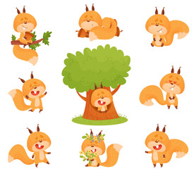 Cartoon Squirrel Character Engaged in Different Activities Vector Set
