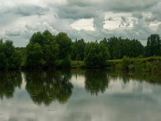 Fototapeta na wymiar shore of a small pond in summer, Russia