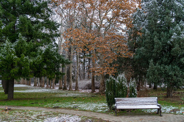Image of a bench in a winter park.